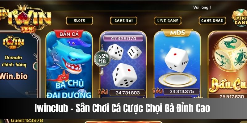 Iwinclub - Sân Chơi Cá Cược Chọi Gà Đỉnh Cao